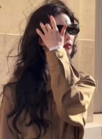 刘诗诗陈哲远2017年合照曝光，礼服造型展现高贵气质