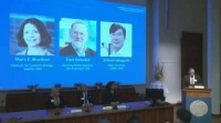 日本学者坂口志文：从被抛弃的假说到诺奖的孤独逆行者