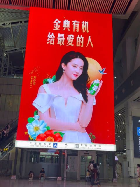 刘亦菲现身广州白云机场代言伊利金典
