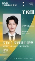 王俊凯与平遥影展缘分再升级，古城炸鸡店里还有他的彩蛋