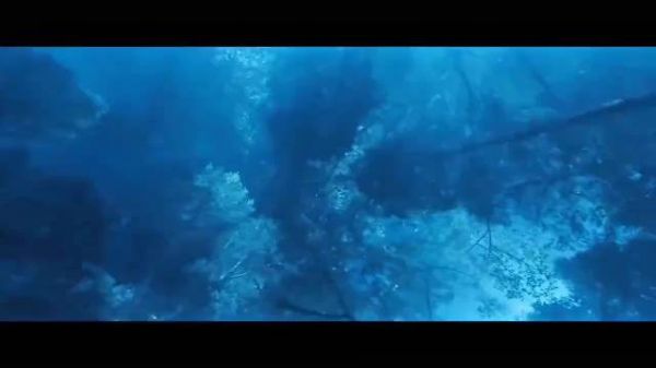 刚上映狂揽6000万,这绝对是谢苗最牛逼的一部武侠电影,刀刀见血
