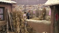 夫妻俩去乡下看孩子，不料竟看见了这一幕，孩子真是太惨了！