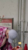 鹿晗香港红馆拜香祈愿演唱会顺利