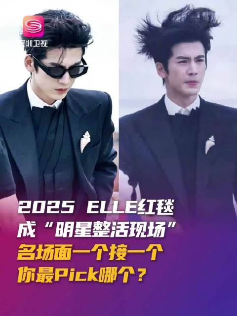 2025ELLE风尚大典深圳举行,张凌赫海胆头沈佳润迷路引热议