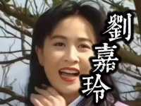 香港最风光的女人 刘嘉玲