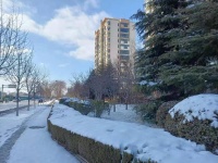 七律 初雪（外三首）