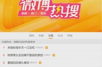 董璇回应婚礼餐标67元：网上都是假的！