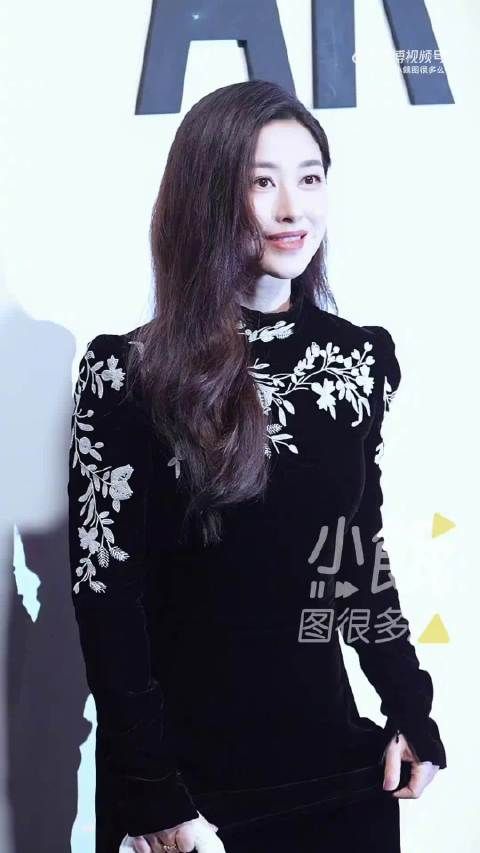 朱珠穿Dior丝绒刺绣长裙亮相，镜头前惊艳众人