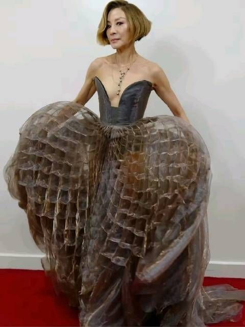 杨紫琼从芭蕾舞者到顶尖武打女星的传奇转型