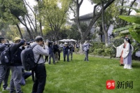 这场银杏与红楼的约会，尽显东方美学的独特魅力