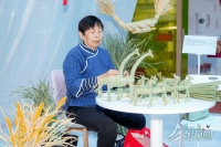 “一馆藏水乡 一角见江南” 青浦以四大脉络点亮长三角文博会“最江南”品牌