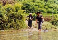 豆瓣8.8力荐，这部金鸡最佳影片情动大山！