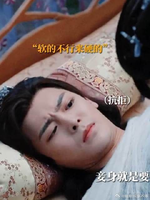 每个物种都有自己的显眼包,蛾子也不例外!