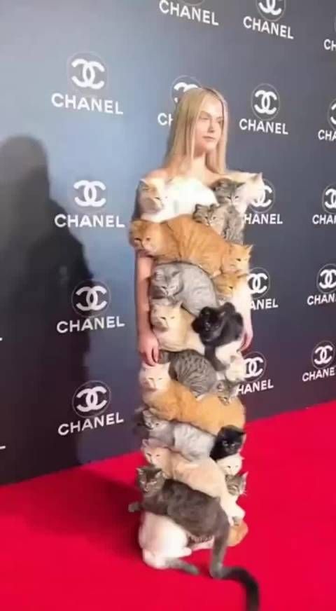 你看人家这衣服才是真皮草