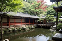 走进日本京都古寺庭院里的四季静谧风光体验