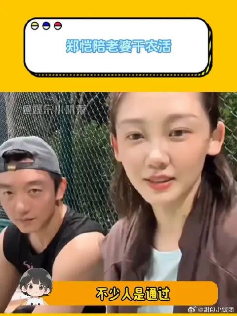 郑恺苗苗三年育三子,夫妇农田劳作显默契