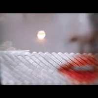 想出让她俩演狐狸的真的是天才