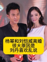 杨幂和刘恺威离婚，很大原因是刘丹喜欢乱说