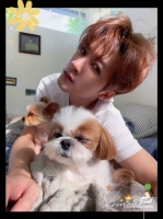 可爱的一家三口 檀健次檀小呆与檀力球