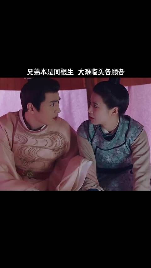 兄弟本是同根生,大难临头各自飞