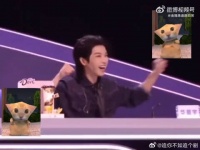 谁能拒绝华晨宇的无敌喵喵拳啊！知道有复活赛，开心得像个小太阳