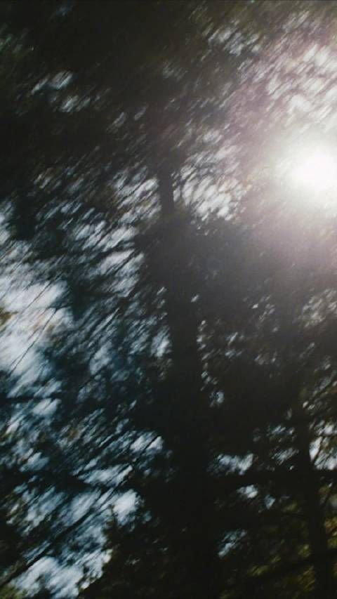 汤唯手捧八宝饭展温暖松弛感