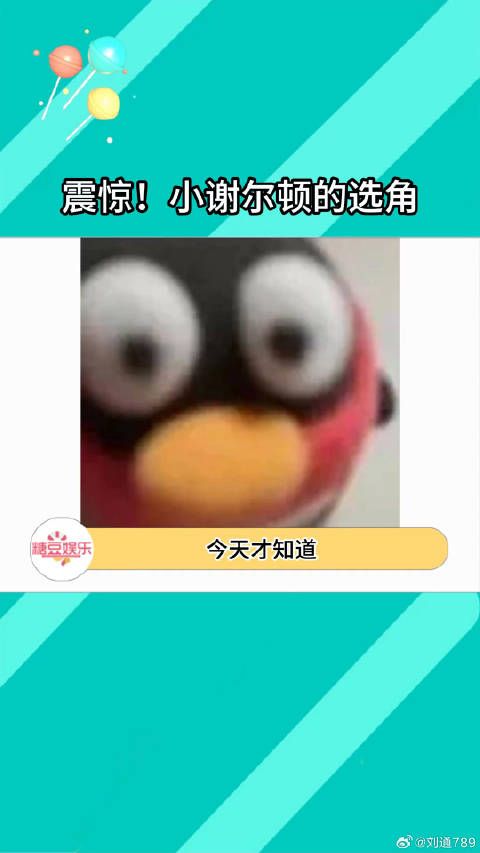 小谢尔顿妈妈的选角好妙！小谢尔顿