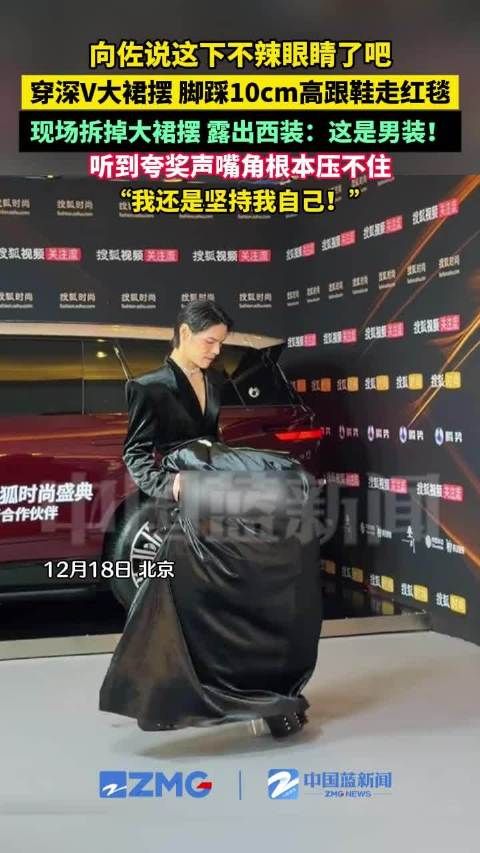 向佐我还是坚持我自己