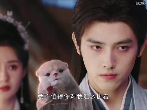 萌到心巴！又是被停雁水獭可爱的一天 .