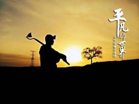 再读《平凡的世界》：为何有人说读懂王满银，我们才能过好这一生