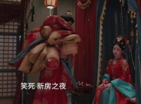 笑到不行，新婚夜居然这么尴尬，简直社死现场，哈哈哈