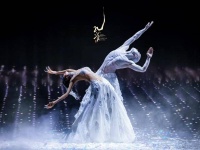 杨丽萍舞剧《孔雀》 2026展翅归来续约北京