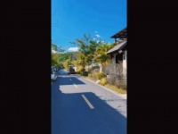 妃子们后宫养猪，个个化得黑不溜秋 《黑妃出击》