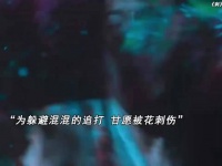 女孩在带刺的花丛中被扎的遍体鳞伤，爸爸看到后霸气反击小混混