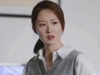 《警察荣誉》张若昀白鹿王景春等主演演绎警察故事