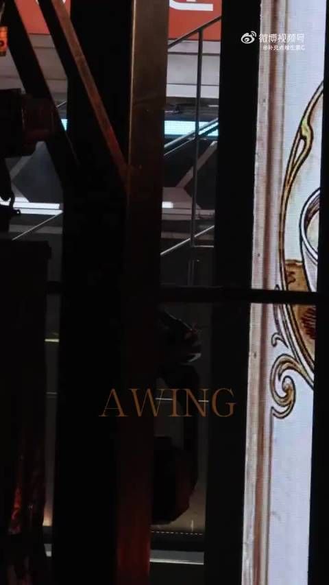 啊啊啊这对我的眼睛很好