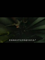 青山绝境求生，主角团寻踪救援，奎楠变异复仇，众人陷入生死危机！