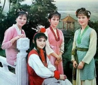 红楼梦：除了袭人，宝玉还和谁偷试过？晴雯一句话大爆料