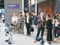 在香港，感受科技与艺术融合之美