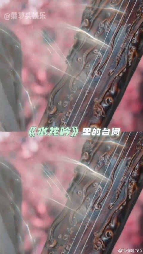水龙吟微博VC计划