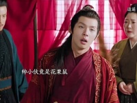 逍遥集人妖兄弟情引共鸣