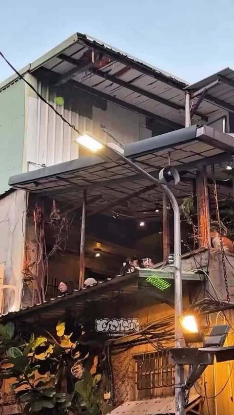 拍小貓咪 Cr. cnanasss