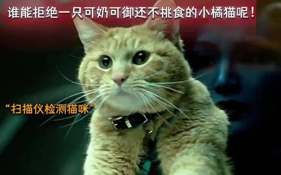 噬元兽真容曝光,尼克弗瑞失明真相揭晓