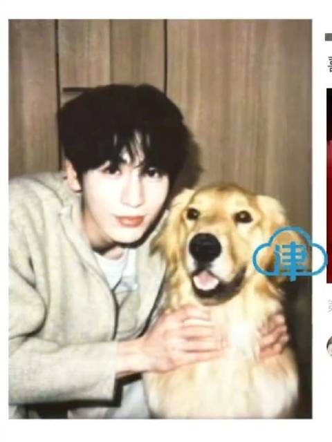 张凌赫1月12日采纳粉丝推荐头像，使用与小狗合照