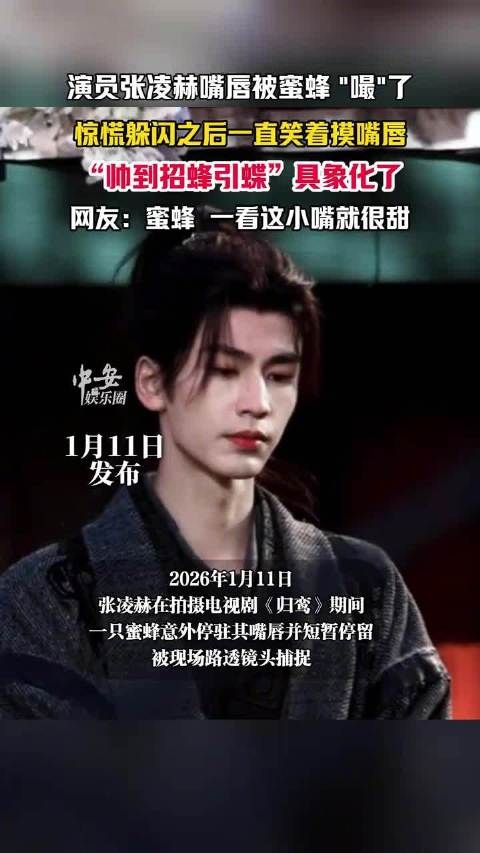 张凌赫帅得招蜂引蝶具象化:张凌赫拍戏被蜜蜂亲了