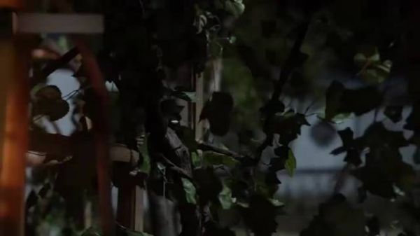 覆流年:小妾怀上身孕,以为能够母凭子贵,不料王爷对她这态度!