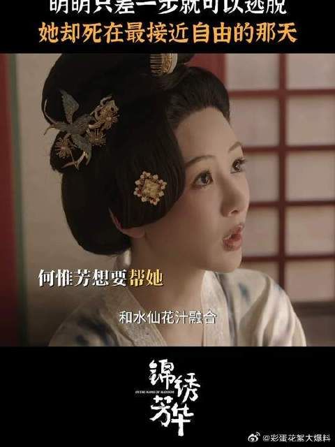 她死在了最接近自由的那天