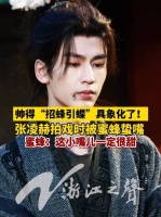 张凌赫片场被蜜蜂偷亲