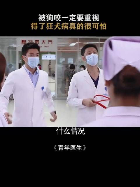 说实话,我最讨厌养不拴绳子的人