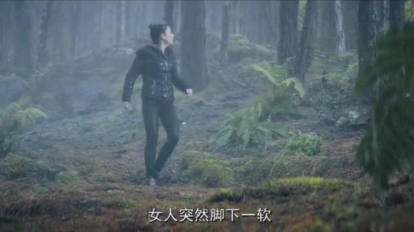 沼泽里做这么多事，真的不会沉下去吗？